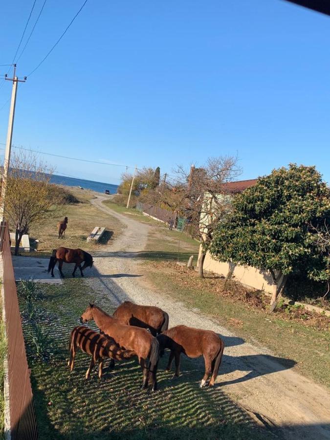 Отель Гостевой дом Радуга Алахадзы Экстерьер фото